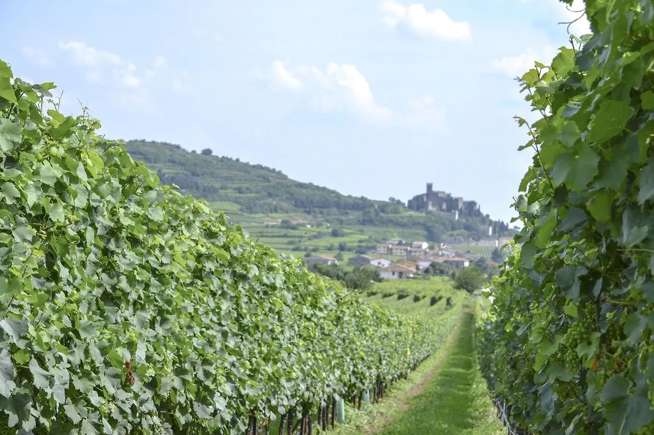 B&B Antique Maison Soave